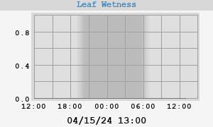 day leaf wetness