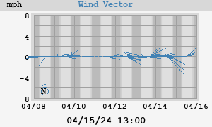 Wind Vector